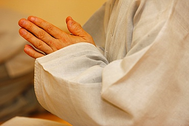 Meditating monk, Seoul, South Korea, Asia