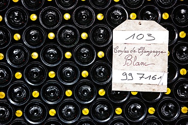 Taittinger champagne cellar, Reims, Marne, France, Europe