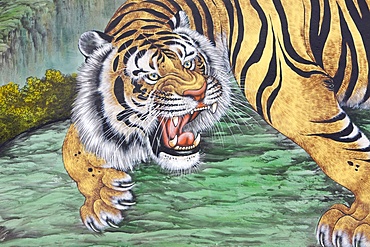 Tiger painting at Bongeunsa temple, Seoul, South Korea, Asia