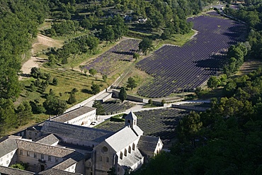 Notre-Dame de Senanque Abbey, Gordes, Vaucluse, France, Europe