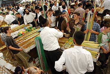 Jews buying Sukhot ritual items, Jerusalem, Israel, Middle East