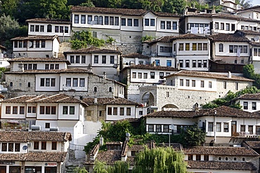 Riverfront buildings, Berat, Albania, Europe