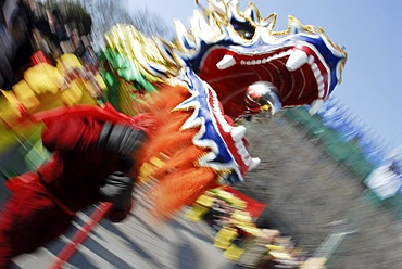 Dragon dance during Chinese New Year, Paris, Ile de France, France, Europe