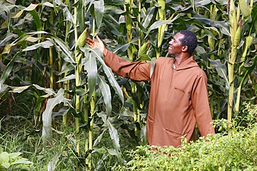 Farm worker at Dzogbegan Benedictine Abbey, Danyi Dzogbegan, Togo, West Africa, Africa