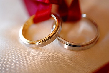 Wedding rings, Paris, France, Europe