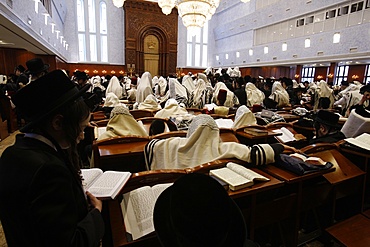 Purim celebration in the Belz Synagogue, Jerusalem, Middle East