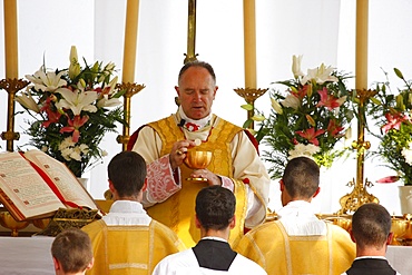 Mgr Bernard Fellay, head of Saint Pie X Fraternity, celebrating Mass during a traditional Catholic pilgrimage, Villepreux, Yvelines, France, Europe