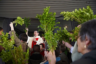 Palm Sunday, Paris, France, Europe