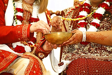 Hindu wedding at Bhaktivedanta Manor, Watford, Hertfordshire, England, United Kingdom, Europe