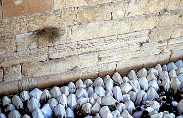 The Priestly Blessing Ceremony by the Western Wall at Succot, Old City, Jerusalem, Israel, Middle East