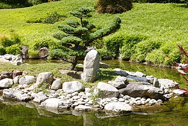 Zen garden, Anduze, Gard, France, Europe