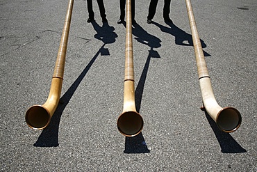 Horns, Saint-Gervais, Haute Savoie, France, Europe