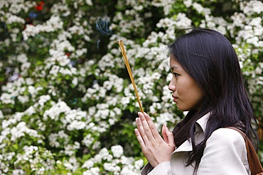 Vesak celebration at Vincennes Buddhist temple, Paris, France, Europe