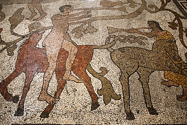 Mosaic of riders on the floor of the central nave, Otranto Duomo, Otranto, Lecce, Apulia, Italy, Europe