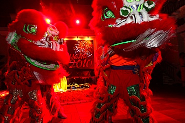 Lion dance performers, Chinese New Year, Ho Chi Minh City, Vietnam, Indochina, Southeast Asia, Asia