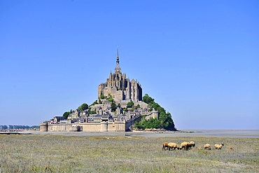 Abbey of Mont Saint-Michel, UNESCO World Heritage Site, Normandy, France, Europe