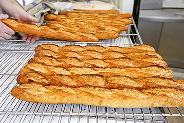 Bakery, Paris, France, Europe