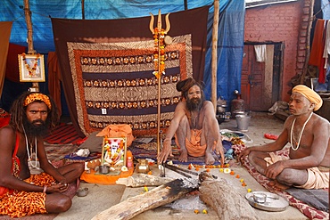 Naga sadhus in their akhara at the Kumbh Mela in Hardwar, Uttarakhand, India, Asia