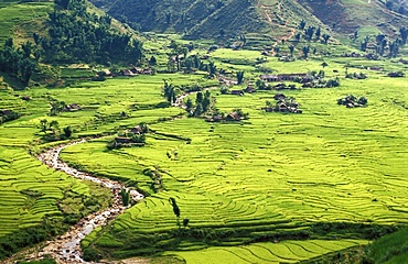 Rice fields in Sapa region, North Vietnam, Vietnam, Indochina, Southeast Asia, Asia