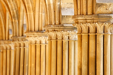 Capitals and pillars, Royaumont Abbey cloister, Asnieres-sur-Oise, Val d'Oise, France, Europe