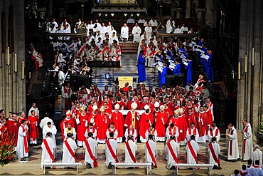 Priest Ordinations in Notre-Dame de Paris cathedral, Paris, France, Europe