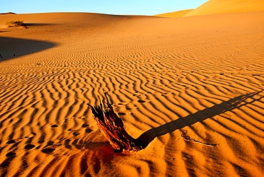 Erg Ubari desert, Ubari, Libya, North Africa, Africa