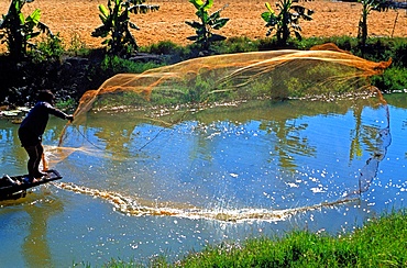 Inle Lake fisherman casting his net, Shan States, Myanmar, Asia