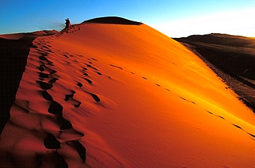 Sossusvlei dune in Namib desert, Namibia, Africa