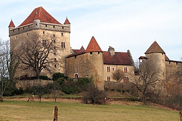 Chateau du Pin, Le Pin, Jura, Franche Comte, France, Europe