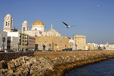 Cadiz waterfront, Cadiz, Andalucia, Spain, Europe