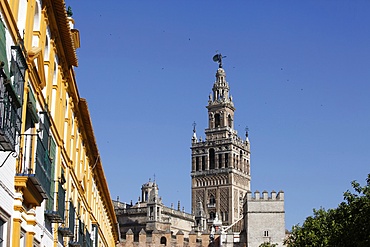 Giralda, the Seville cathedral bell tower, formerly a minaret, UNESCO World Heritage Site, Seville, Andalucia, Spain, Europe