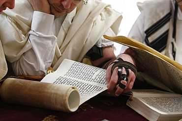 Reading the Book of Esther during Purim celebration in a synagogue, Montrouge, Hauts-de-Seine, France, Europe