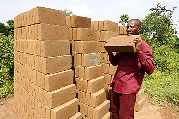 Man loading bricks, Tori, Benin, West Africa, Africa