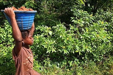 African child in the countryside, Tori, Benin, West Africa, Africa