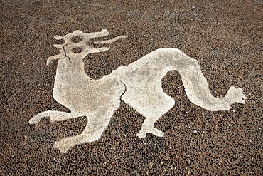 Painted dragon, Tunisia, North Africa, Africa