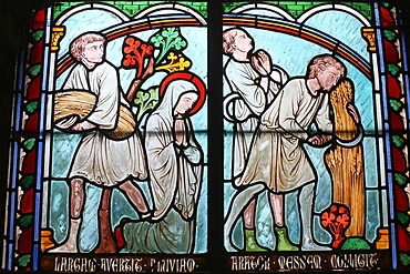 Stained glass depicting Sainte Genevieve's life, cloister of Notre-Dame de Paris cathedral, Paris, France, Europe