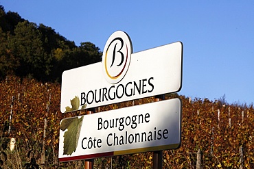 Burgundy vineyard sign, Culles-les-Roches, Saone-et-Loire, Burgundy, France, Europe