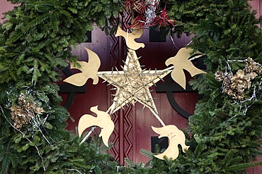 Shepherd's star, Paris, France, Europe