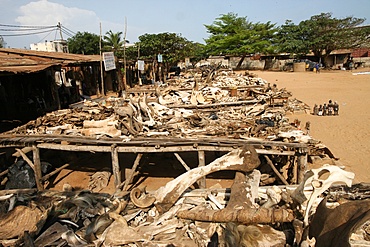 Akodessewa fetish market, Lome, Togo, West Africa, Africa