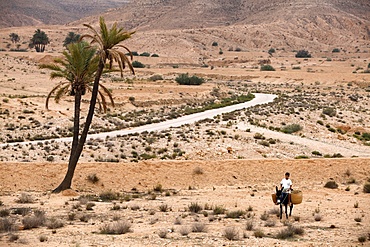 Boy on a donkey in a parched landscape, Gabes, Tunisia, North Africa, Africa