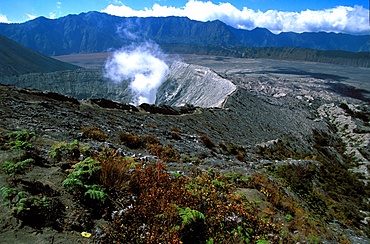 Caldeira and Bromo at 2329 m, and Semeru at 3676m, volcanoes on Java, Indonesia, Southeast Asia, Asia