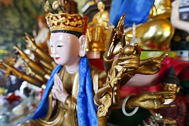 Buddha statue, Tu An Buddhist temple, Saint-Pierre-en-Faucigny, Haute Savoie, France, Europe