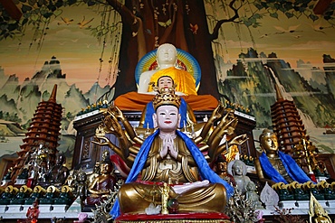 Buddha statues, Tu An Buddhist temple, Saint-Pierre-en-Faucigny, Haute Savoie, France, Europe