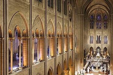 Nave, Notre Dame Cathedral, Paris, France, Europe