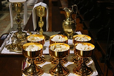 Eucharistic celebration, Notre Dame Cathedral, Paris, France, Europe