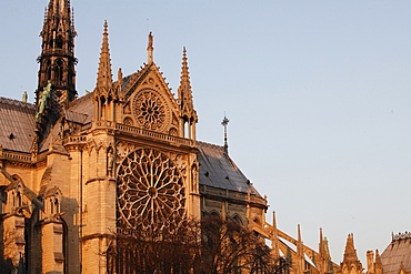 Rose window on South facade, Notre Dame Cathedral, Paris, France, Europe