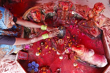 Hindu woman worshipping a lingam during Holi celebration in Goverdan, Uttar Pradesh, India, Asia