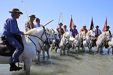 Guardians on horseback escorting the procession to the sea, Gypsy pilgrimage at Les Saintes-Maries-de-la-Mer, Bouches du Rhone, France, Europe