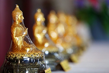 Buddha statue wrapped in cellophane, Paris, France, Europe