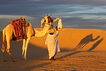 Camel drivers meeting in the Sahara, Douz, Kebili, Tunisia, North Africa, Africa